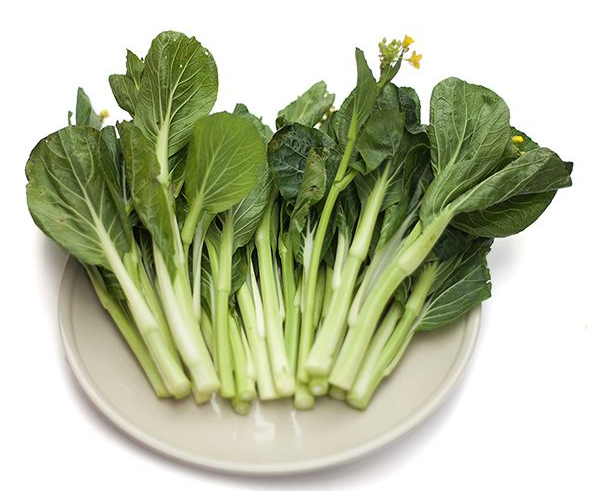 蔬菜配送中心 蔬菜配送中心