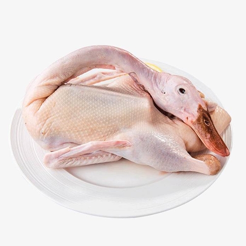 鸭肉
